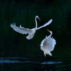 Winds of Change